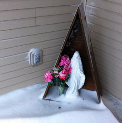 Snow Morning